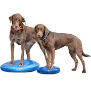 FitPAWS Balanskussen Hond Blauw – Professionele Balanstraining en Fitness