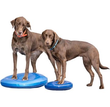 FitPAWS Balanskussen Hond Blauw – Professionele Balanstraining en Fitness