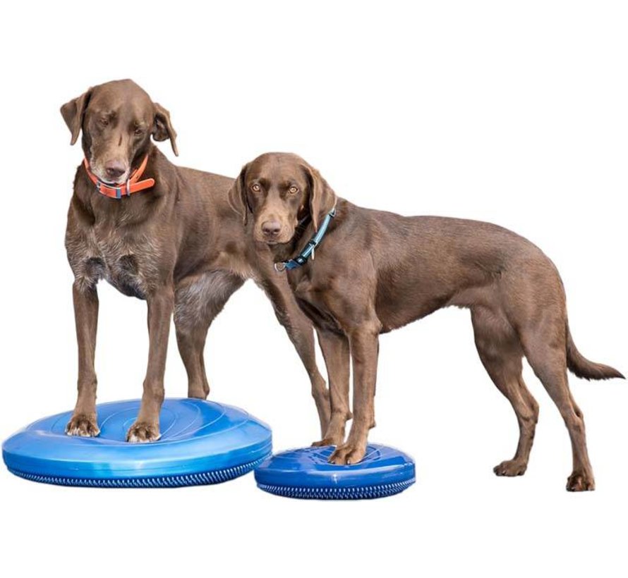 Dog Balance Disk Blue – Professional Fitness & Stability Training