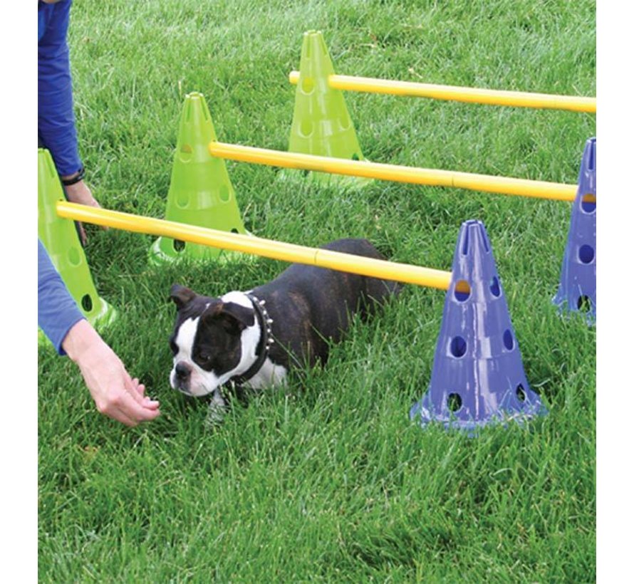 Agility Set voor Honden – Complete Behendigheidset voor Thuis