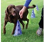 Canine Dog Agility Gym Kit