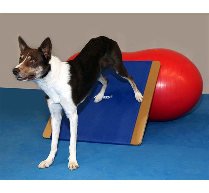 Dog Rocker Board