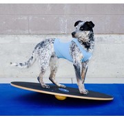 FitPAWS Dog Wobble Board – Professional Balance & Stability Trainer