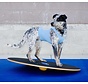 Balansbord voor Honden – Professionele Training en Stabiliteit