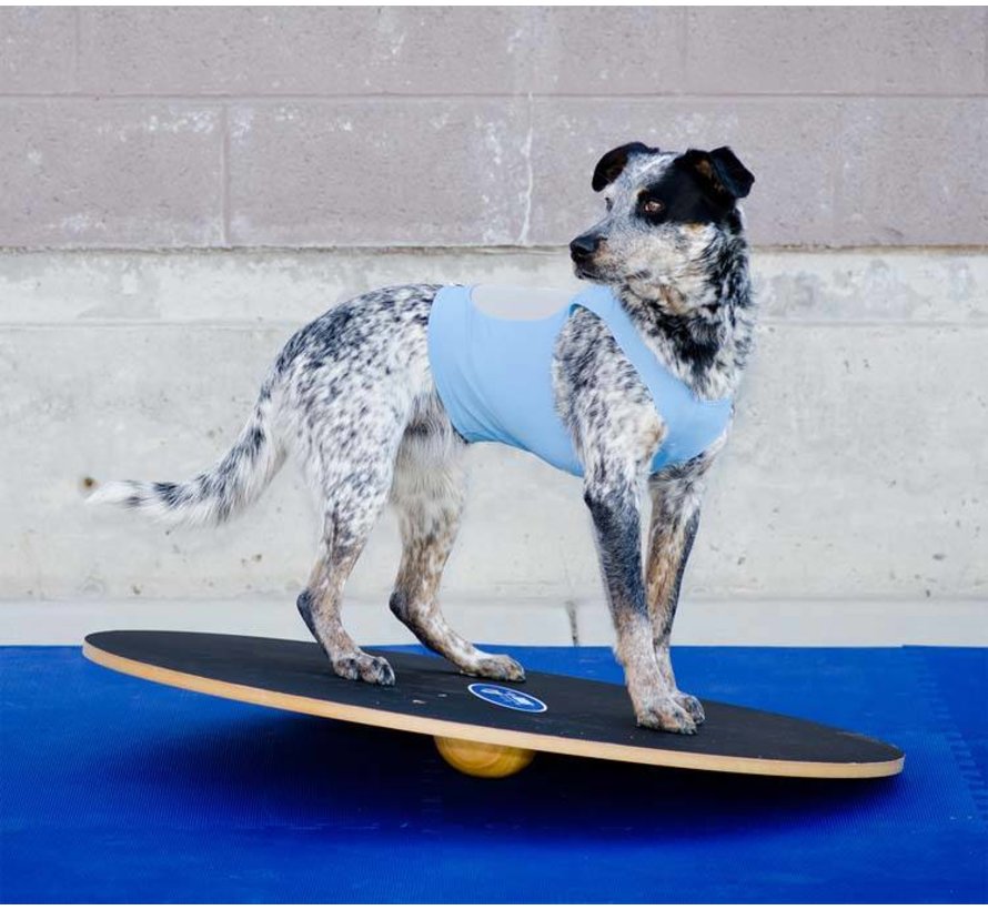 Dog Wobble Board – Professional Balance & Stability Trainer