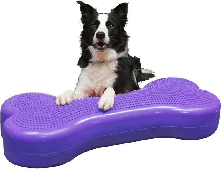 Afbeelding Giant K9FITbone Violet door Petsonline