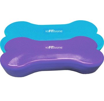 FitPAWS Giant K9FITbone Turquoise