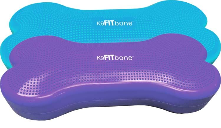 Afbeelding Giant K9FITbone Turquoise door Petsonline