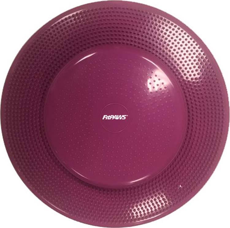 Afbeelding Balance Disk Razzleberry door Petsonline