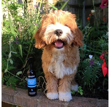 Animology Mucky Pup Droogshampoo