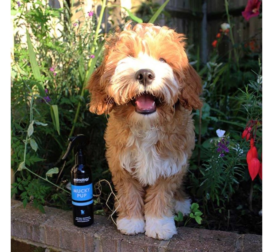 Mucky Pup Droogshampoo