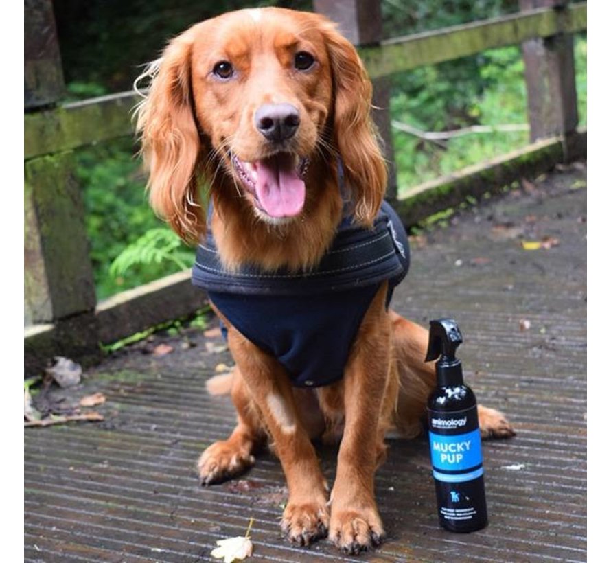 Mucky Pup Dry Shampoo