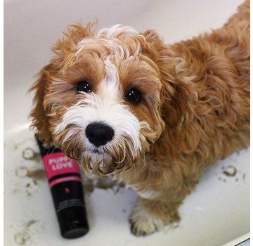 Animology Dog Shampoo Puppy Love