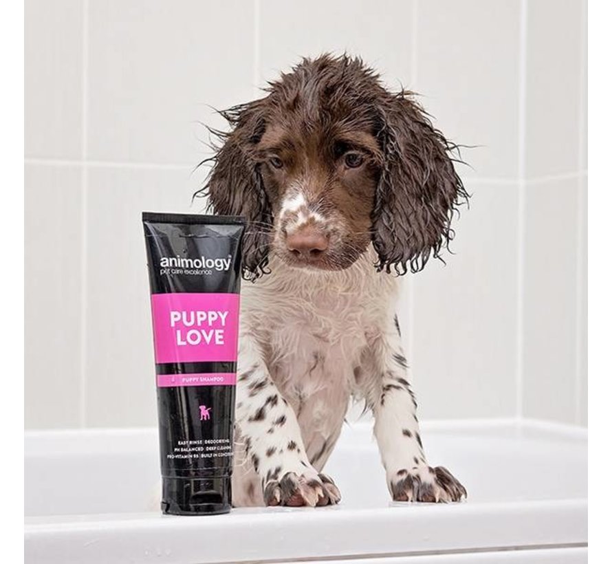 Dog Shampoo Puppy Love