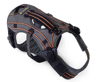 EQDOG Dog Harness Pro Harness Orange