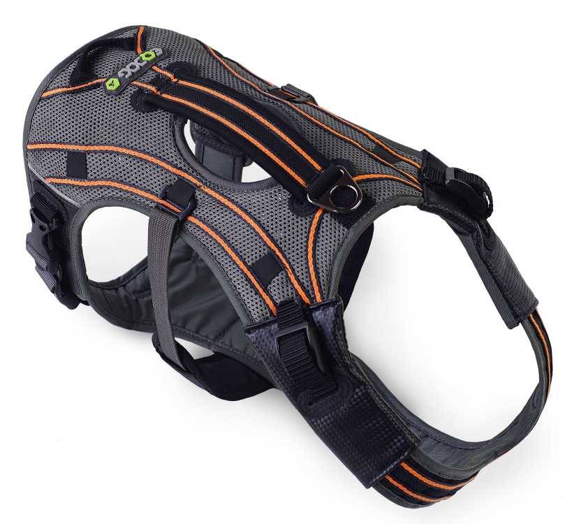 Hondentuig Pro Harness Oranje