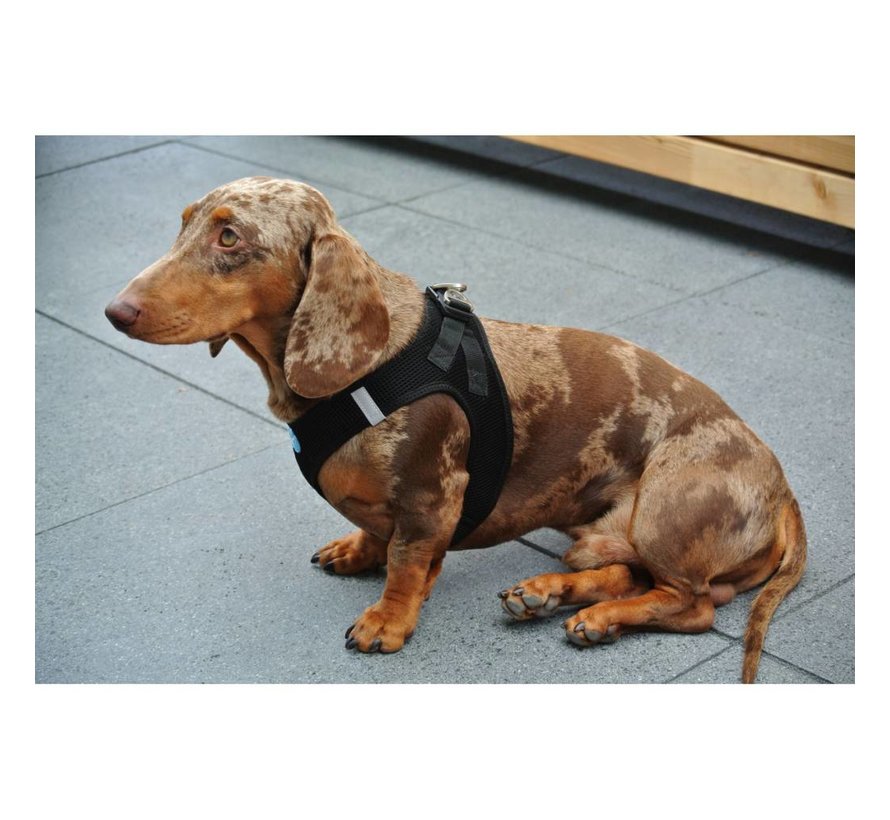 Dog Harness Air-Mesh Harness Black