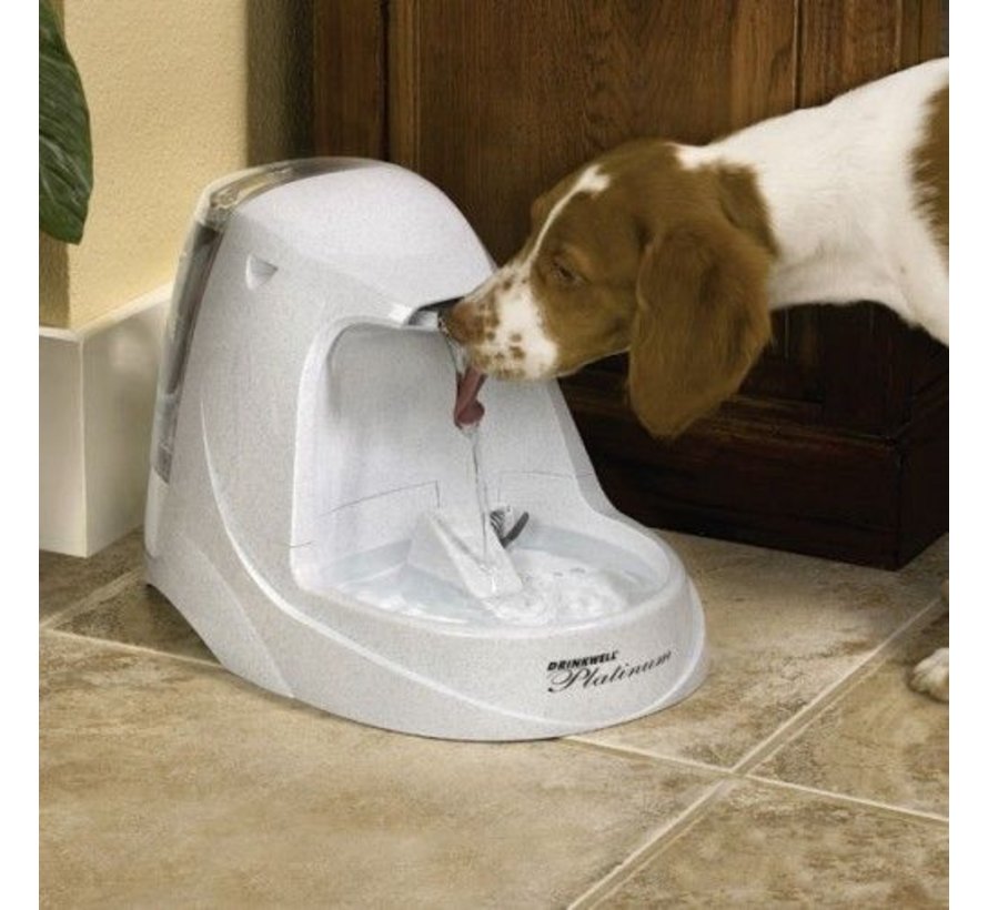 Petwell drinking cheap fountain