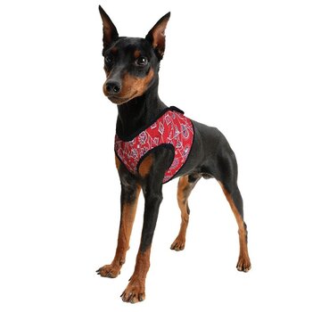 Aqua Coolkeeper Cool Harness Comfy Roses