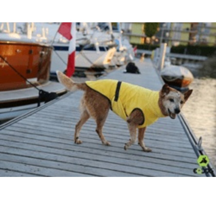 Dog Bathrobe Doggy Dry Yellow