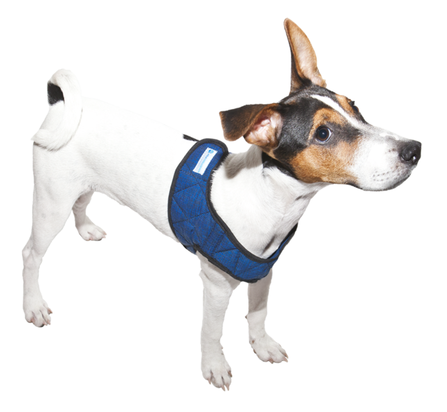 Cool Harness Comfy Pacific Blue