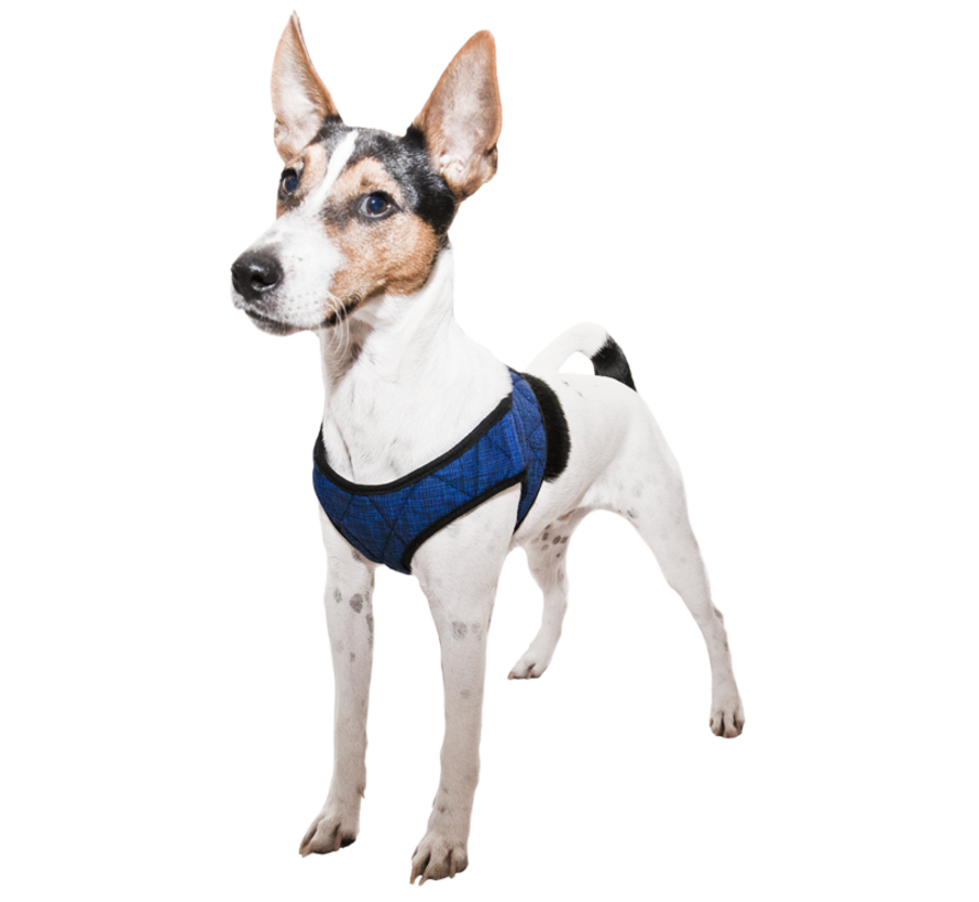 Cool Harness Comfy Pacific Blue