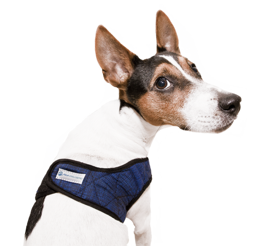 Cool Harness Comfy Pacific Blue