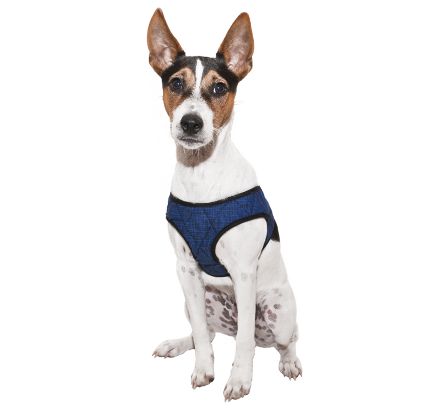 Cool Harness Comfy Pacific Blue