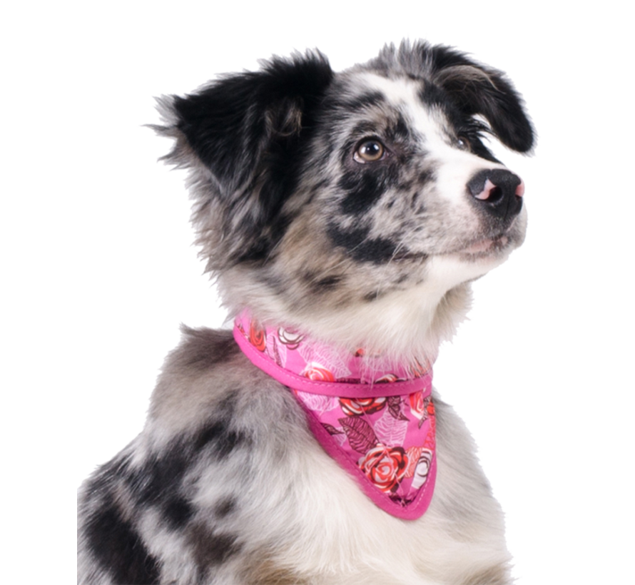 Koelbandana Hond Roses
