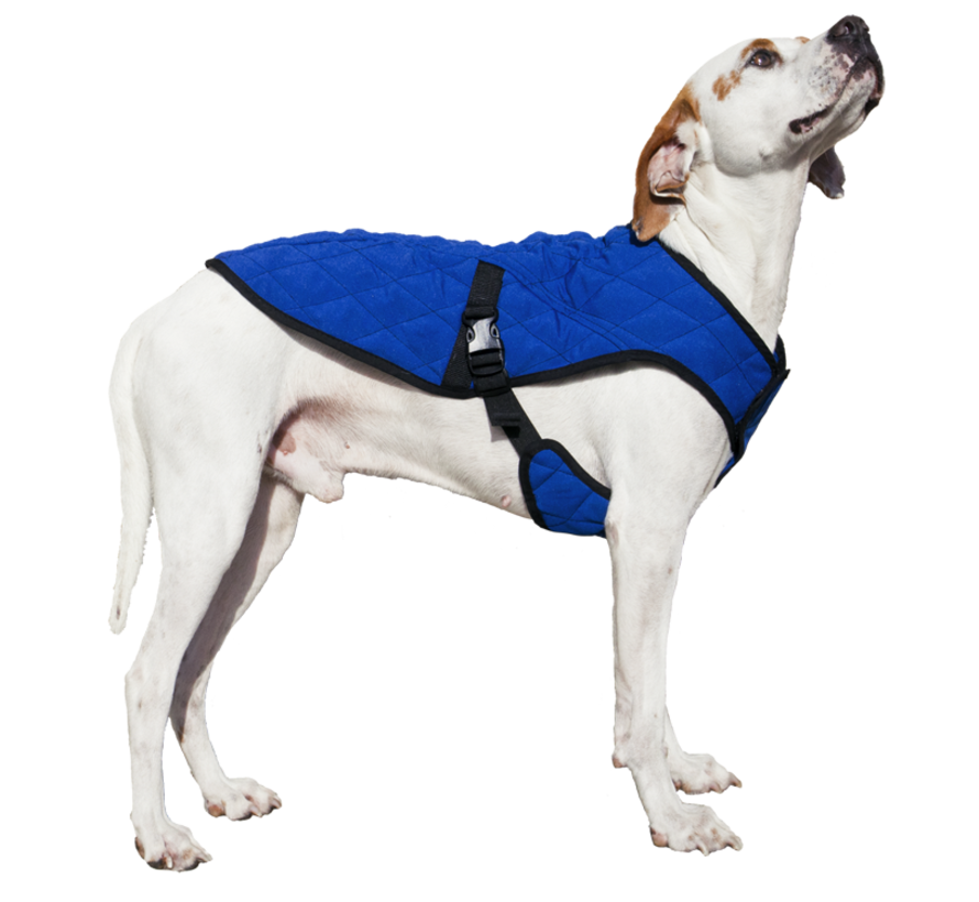 Cooling Pet Jacket