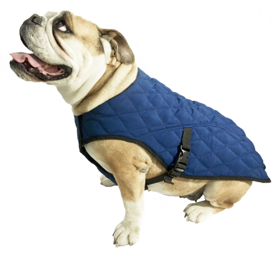 Cooling Pet Jacket