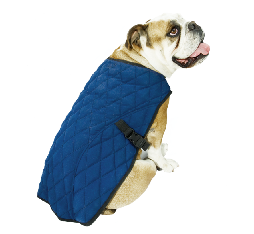 Koel Jas Hond Pacific Blue
