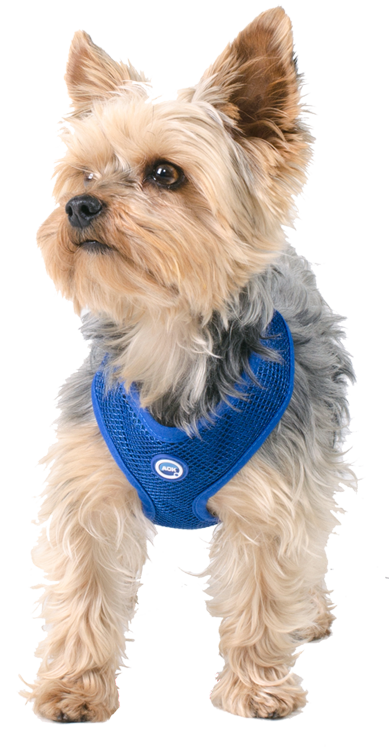 Afbeelding Cooling Round Loop Harnass Pacific Blue door Petsonline