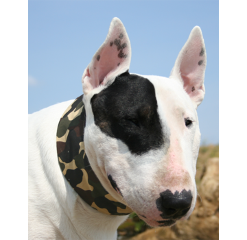 Aqua Coolkeeper Cooling Collar Camouflage