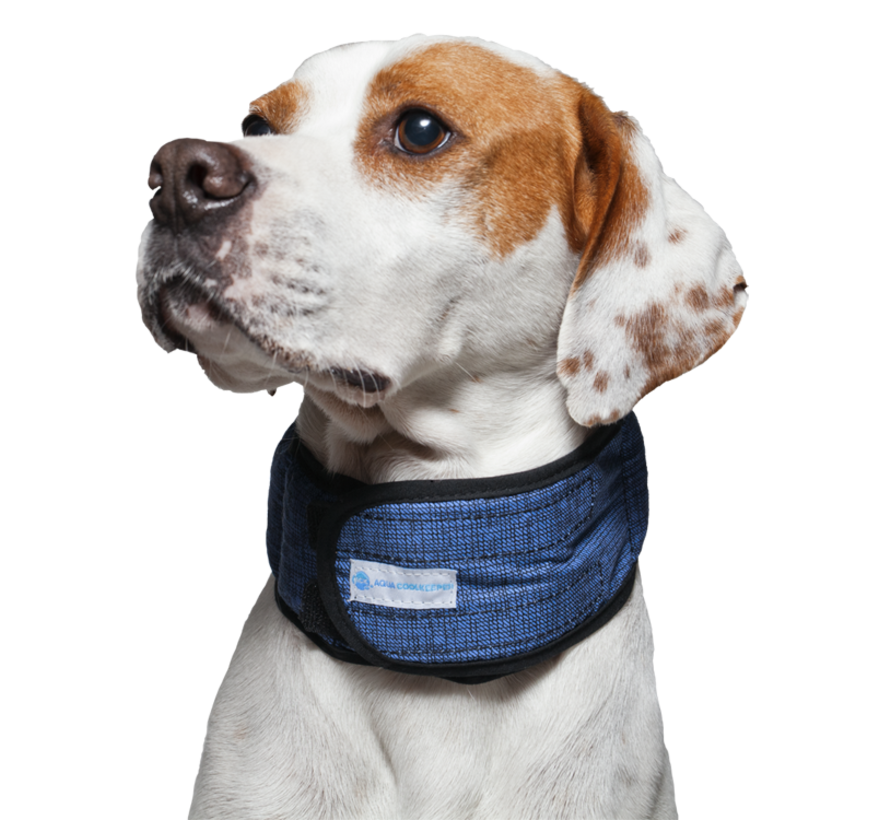 Cooling Collar Pacific Blue