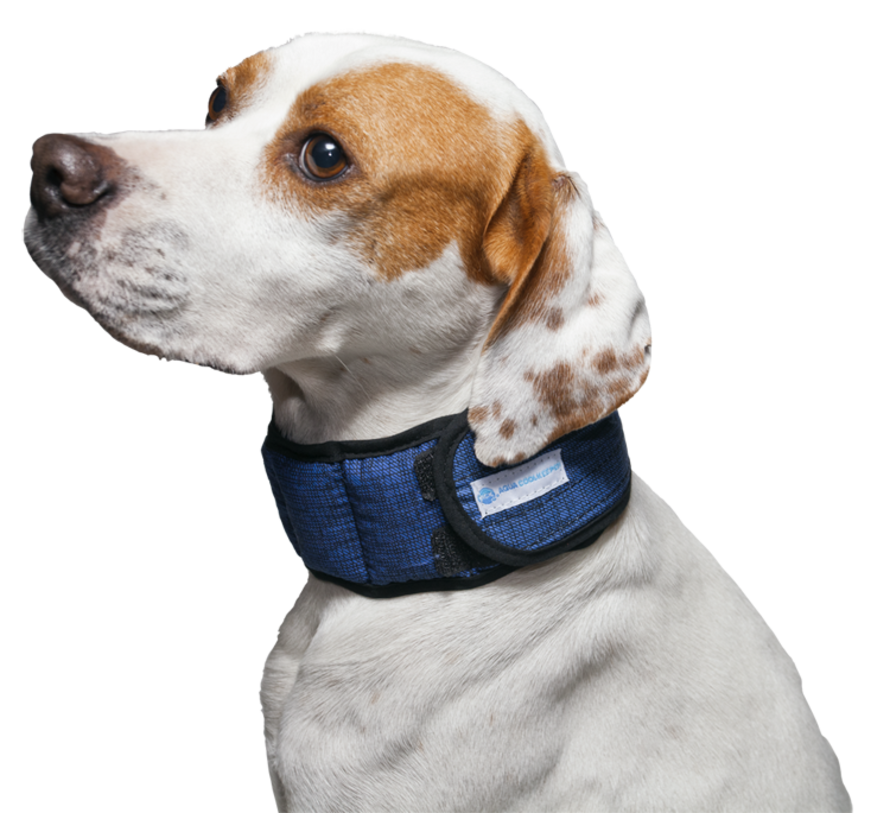 Cooling Collar Pacific Blue