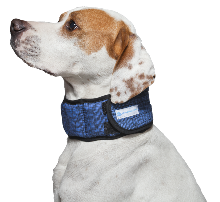 Cooling Collar Pacific Blue