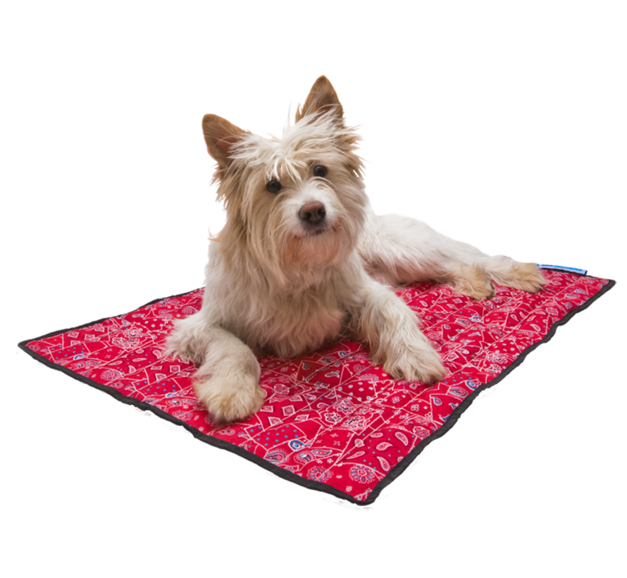Cooling Mat Red Western