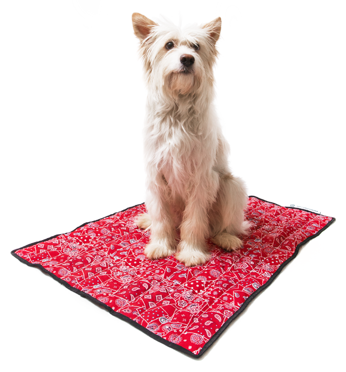 Afbeelding Aqua Coolkeeper - Mat Red Western door Petsonline