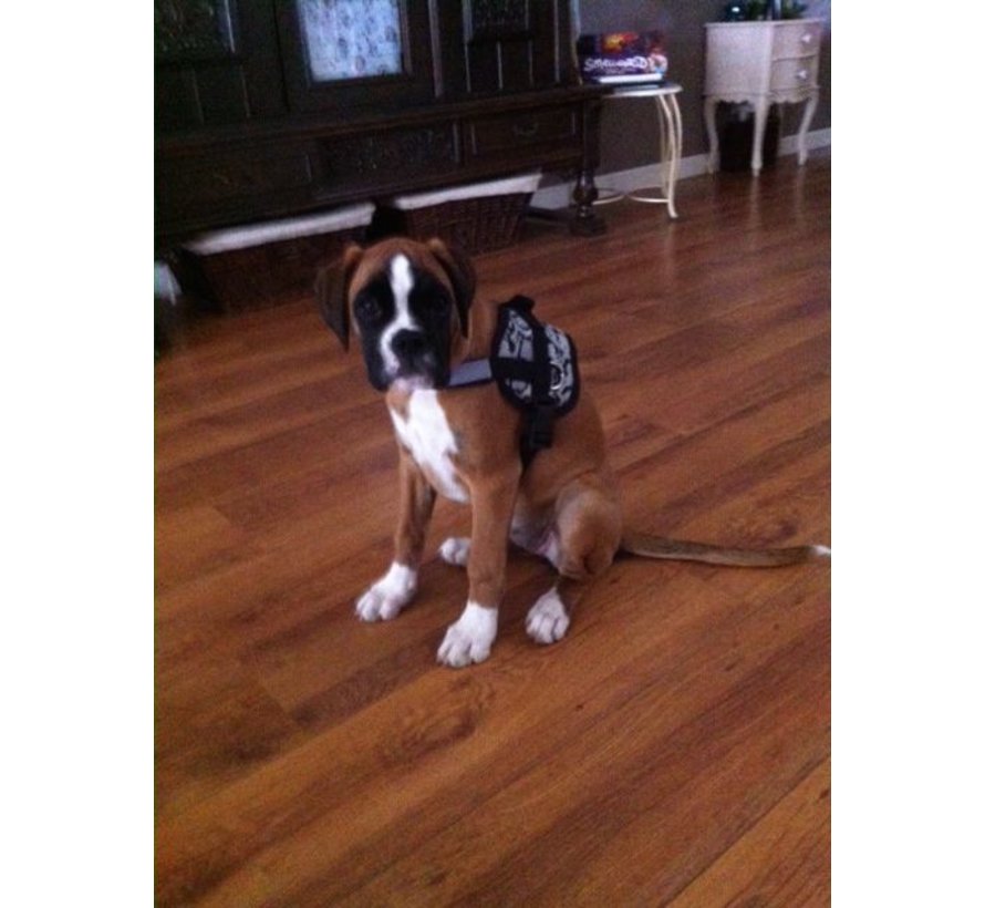 Dog Survival Harness Snake