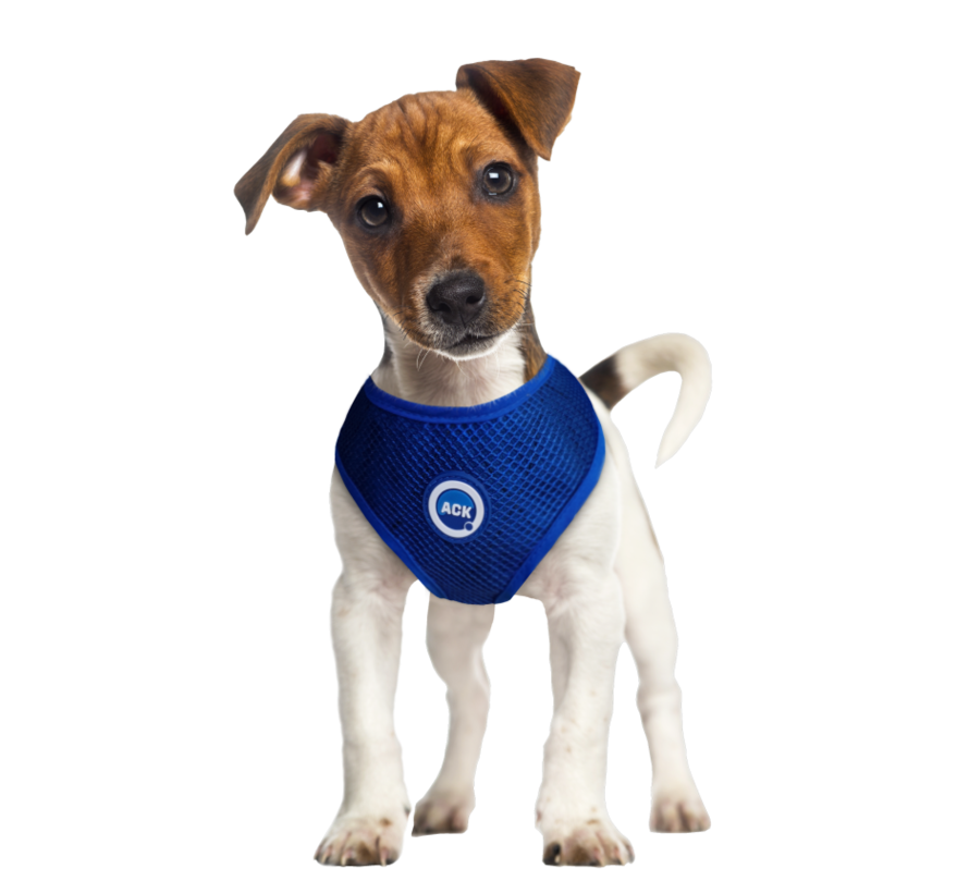 Cooling Harness Round Loop Pacific Blue