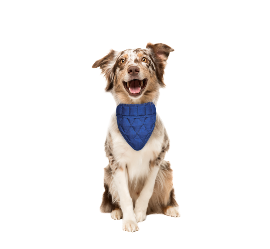 Koelbandana Hond Pacific Blue