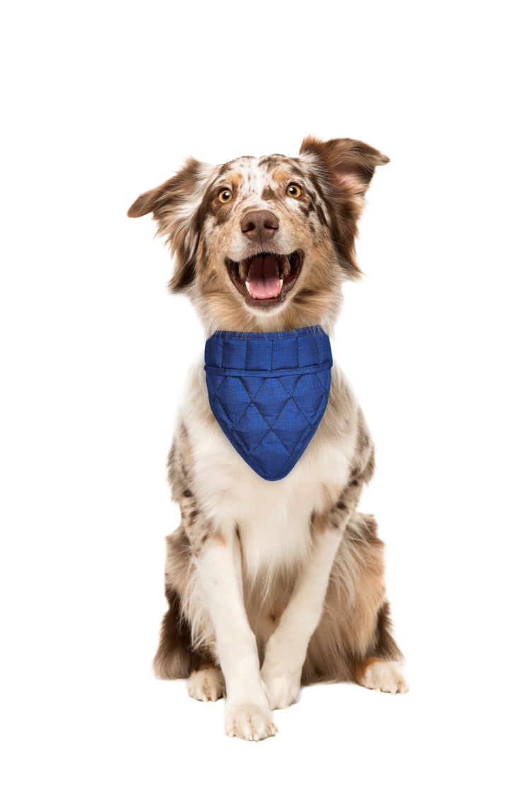 Afbeelding Aqua Coolkeeper Bandana - Blauw - L door Petsonline