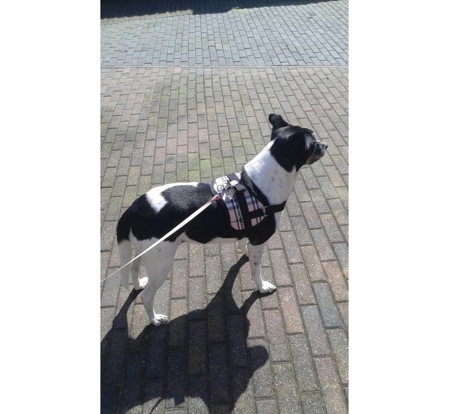 Dog Survival Harness Scottish Pink