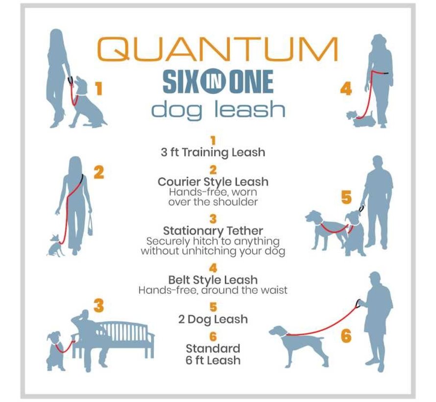 Dog Leash Quantum 6-in-1 Blue