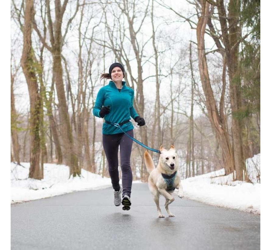 Dog Leash Quantum 6-in-1 Blue