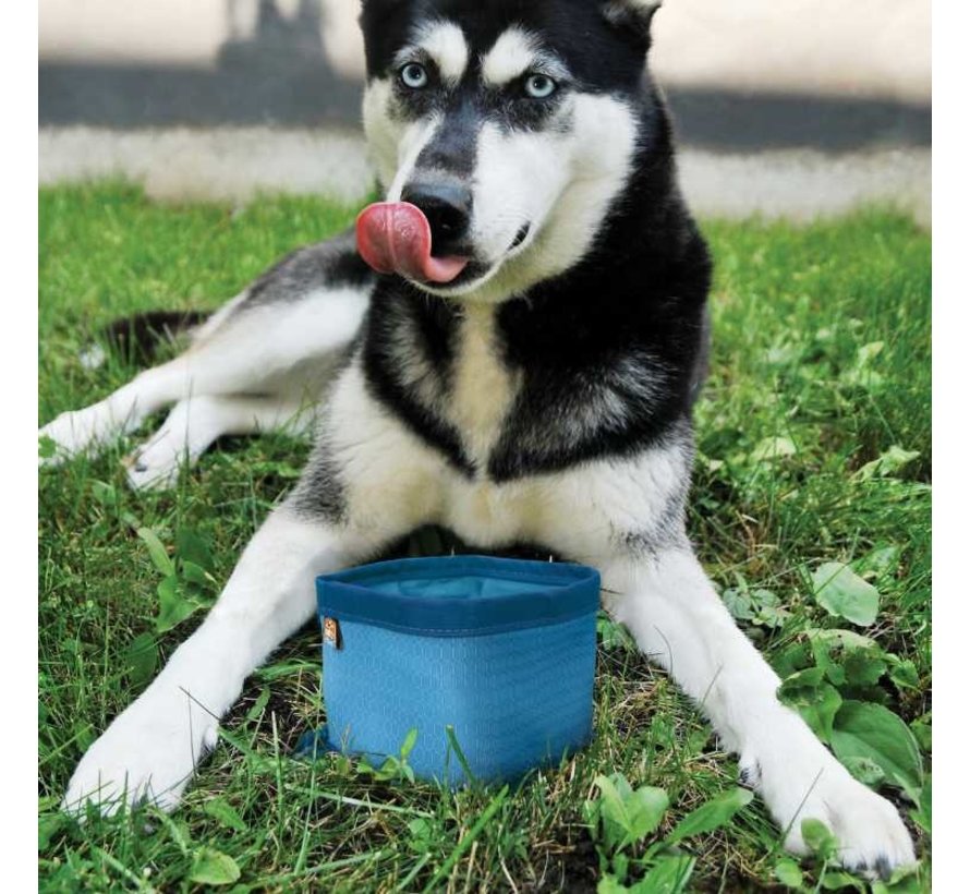 Zippy Collapsible Dog Bowl Blue