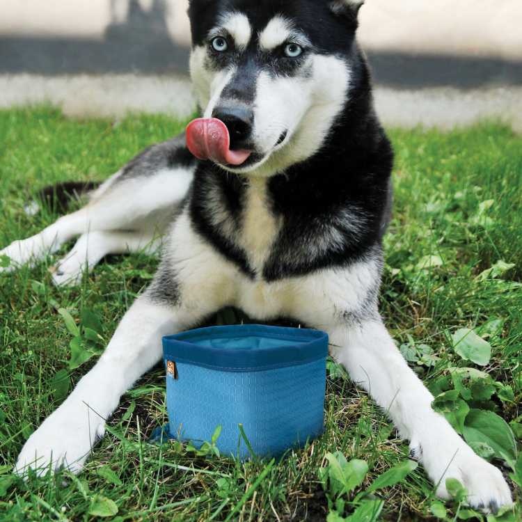 Afbeelding Opvouwbare Bak Zippy Bowl Blauw door Petsonline