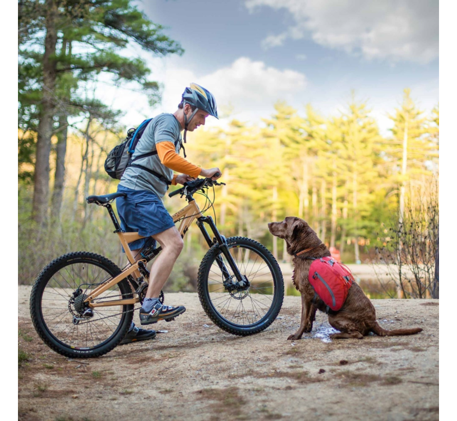 biking with dog in backpack