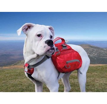 Kurgo Dog Backpack Baxter Red
